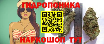 мдпв Уссурийск