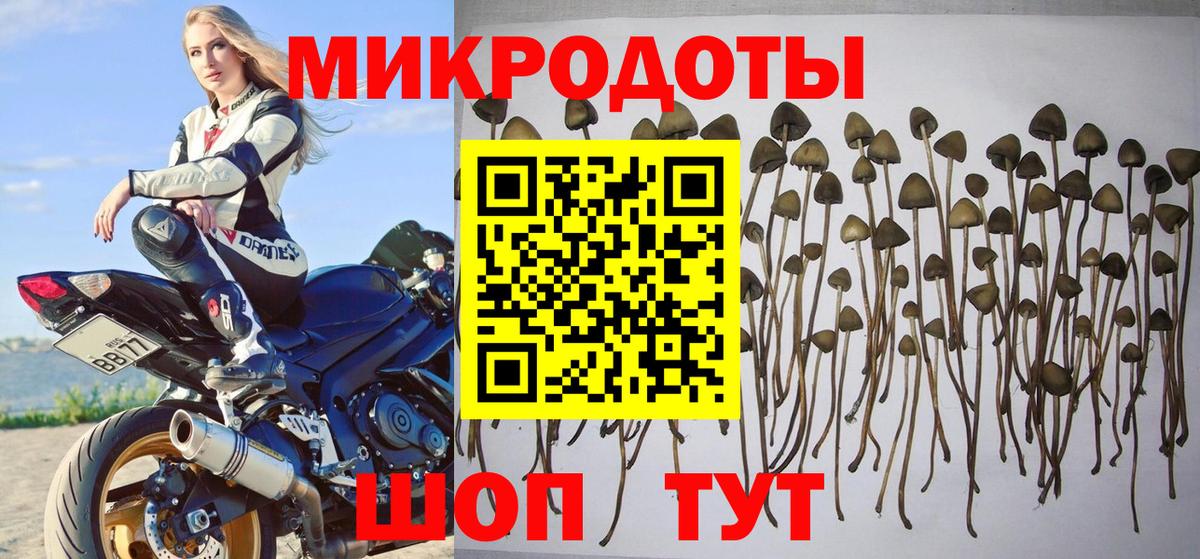 Галлюциногенные грибы прущие грибы  Псилоцибиновые грибы Psilocybe  Вход с VPN  Воткинск 